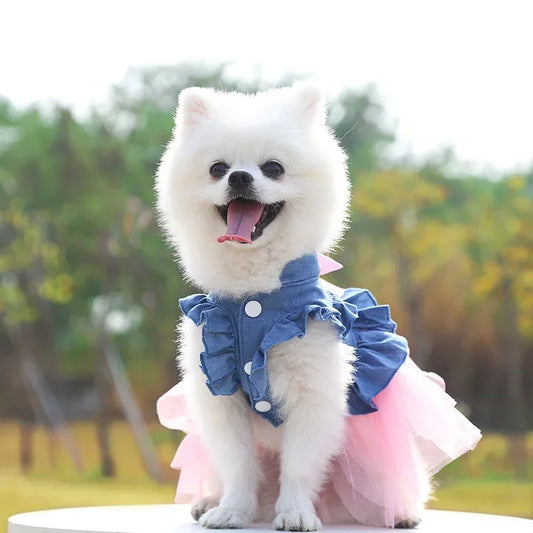 Dog Dress For Small Dogs Clothes Denim Wedding Dresses For Chihuahua Pet Princess Puppy Jeans Skirts for Pomeranian Spitz