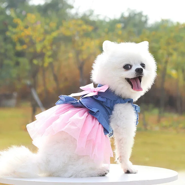 Dog Dress For Small Dogs Clothes Denim Wedding Dresses For Chihuahua Pet Princess Puppy Jeans Skirts for Pomeranian Spitz